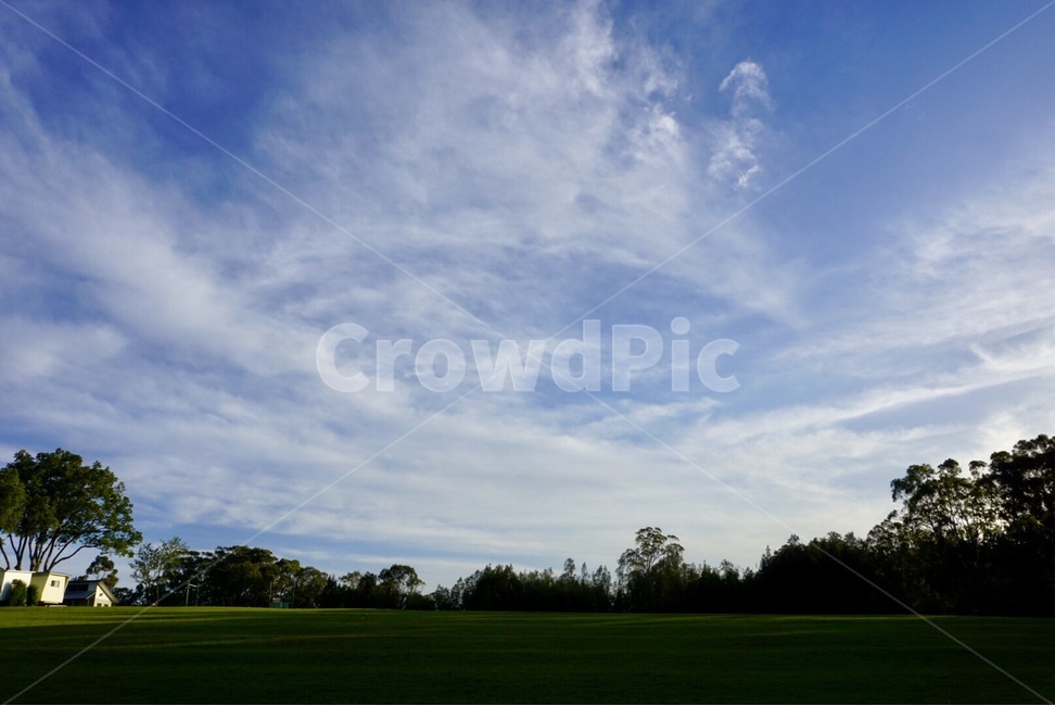 시드니,Sydney,자연,nature,나무,tree,호주,australia,하늘,sky,자연,풍경,nature,landscape,outdoors,옥외,plant,식물,grass,잔디,field,들