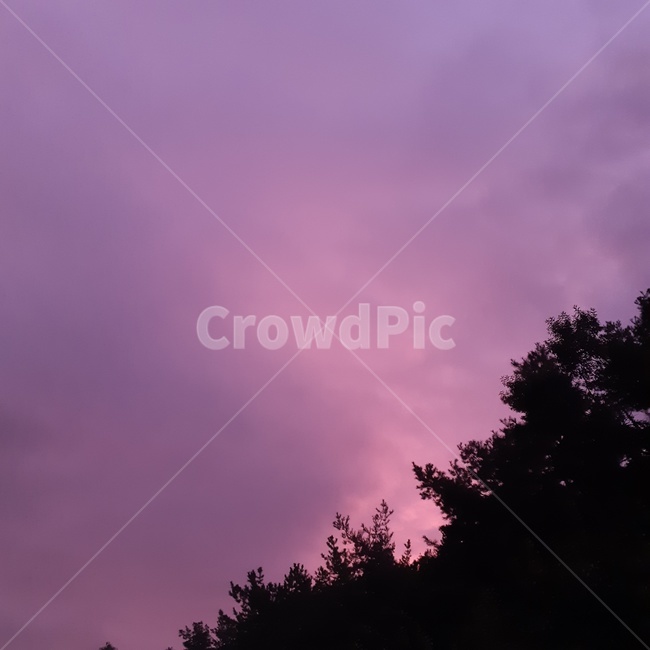 하늘,weather,sky,날씨,구름,나무,nature,outdoors