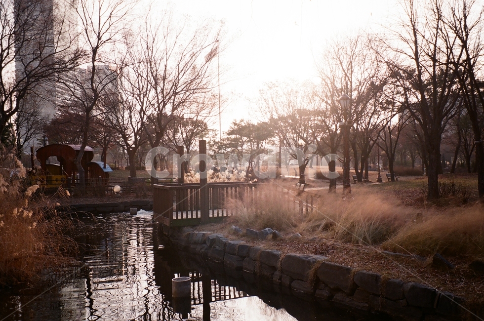 여의도공원,공원,필름사진,park,필름카메라,햇살,오후,석양,outdoors,물,water,옥외