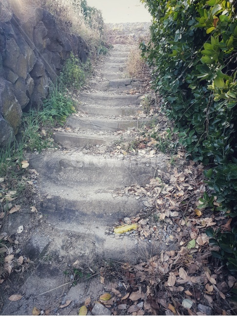 gravel,자갈,road,도로,dirtroad,흙길,ground,바닥,가을,계절,fall,autumn,season,식물,자연,plants,nature