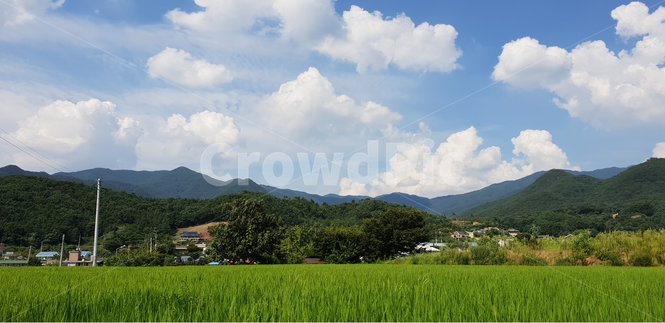 양평,여름,구름,휴가,산,풀,자연,풍경,nature,landscape,시골,마을,country,rural,town,outdoors,옥외,grassland,목초지,field,들