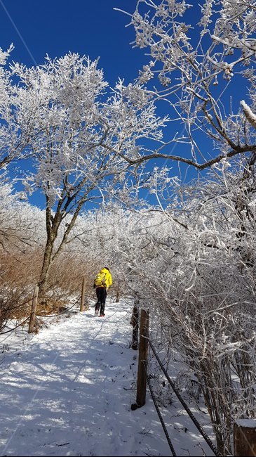 겨울산,등산,상고대,snow,mountain,winter,눈길,등산객