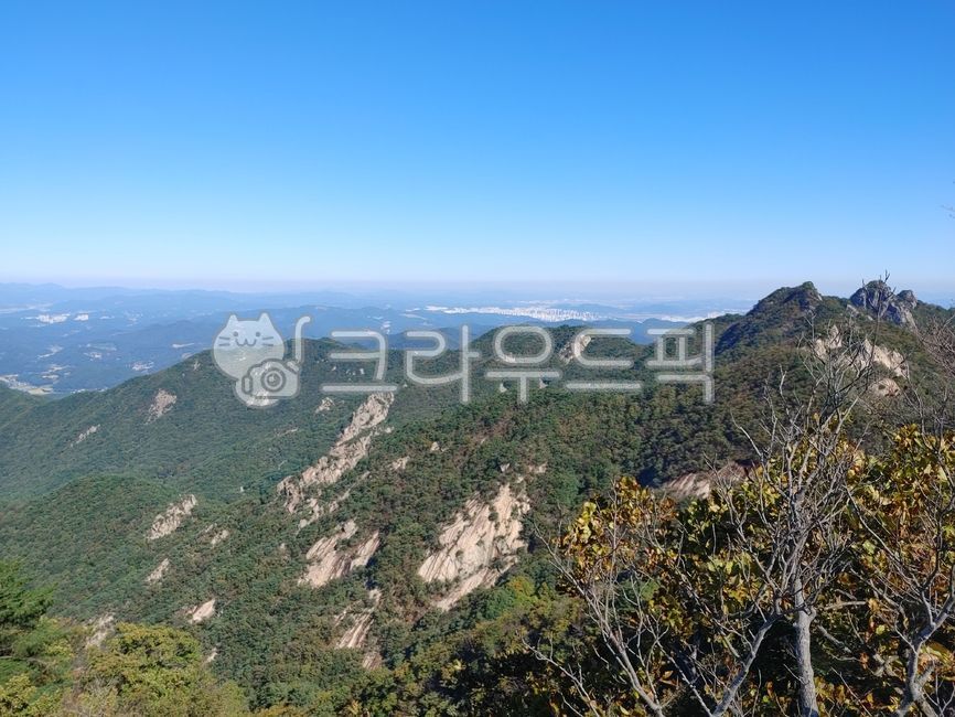 계룡산,계룡산국립공원,산,나무,바위,정상,경치