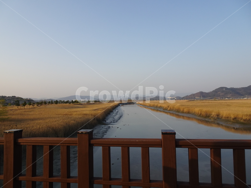 순천만,순천만갈대밭,순천동천,순천만습지,갈대밭,가을,계절,fall,autumn,season,자연,풍경,nature,landscape,한국자연풍경,한국자연경관,korea nature landscape,railing,난간,handrail,banister
