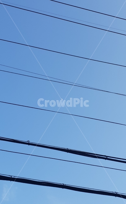 달,반달,전신줄,전깃줄,하늘,저녁,저녁하늘,moon,sky,skyblue