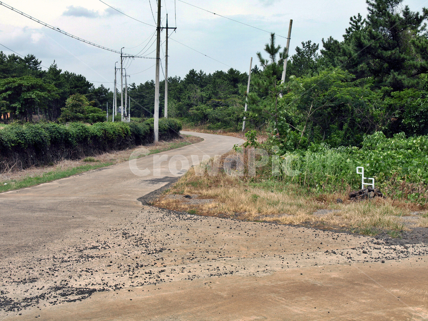 제주,올레14코스,올레길,도로,간세,자연,풍경,nature,landscape,road,dirt road,흙길,gravel,자갈