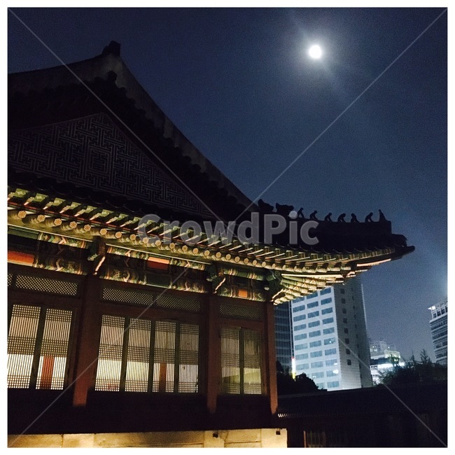 달,한옥,건물,건축물,기와,달빛산책,덕수궁,야경,밤,풍경,nightscape,night,landscape,랜드마크,landmark,tourist attraction,한국랜드마크,한국관광지,한국명소,korea landmark,korea tourist attraction,architecture,building