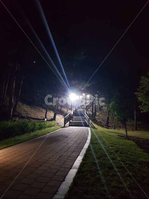 산책,밤,길,night,road,stairs,light,빛,가로등,불,공원,park