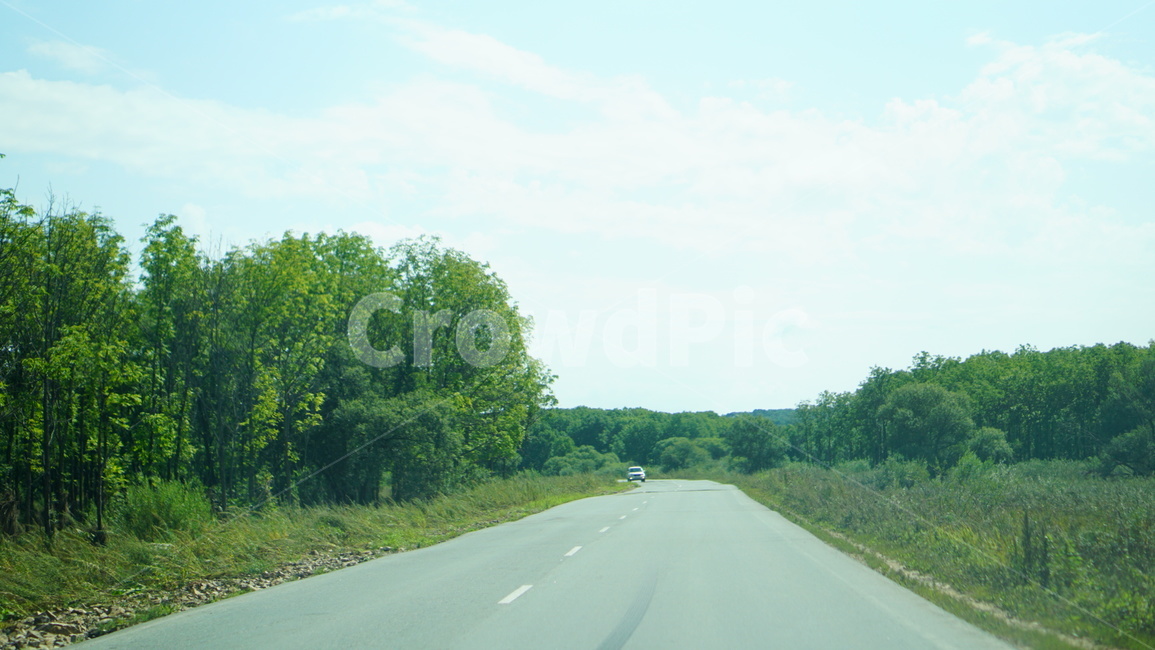 도로,road,freeway,나무,tree,forest,자연,풍경,nature,landscape,highway,고속도로,고속 도로