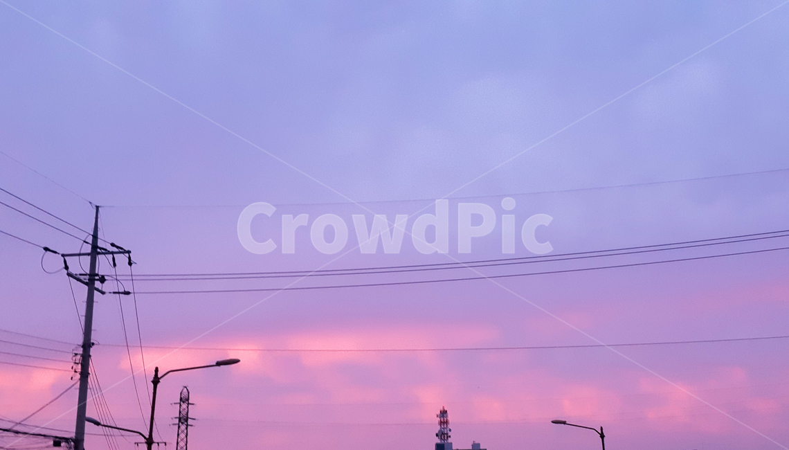 잔잔함,핑크색,하늘,전봇대,색감