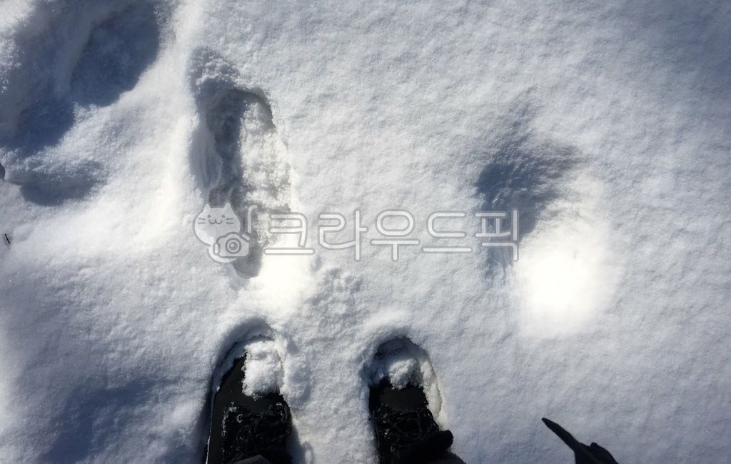 winter boots,nature,winter,snow field,cold weather boots,shoes,footprints,outdoors,accumulated snow,snow