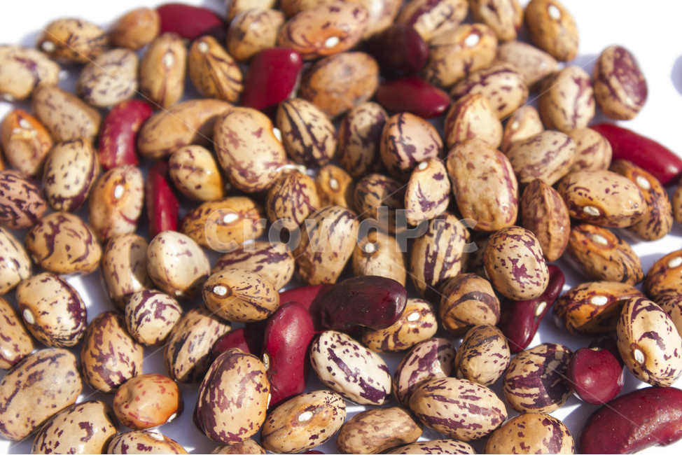 cranberrybean,pattern,white background,collected,crops,vegetable,top angle,stain,red,Food Ingredients,ingredients,grain,bean,tower,top view,Fruit,nature,tiger kidney beans,brown,many,food,grains,Red,tiger bean,plant,pulse,collect