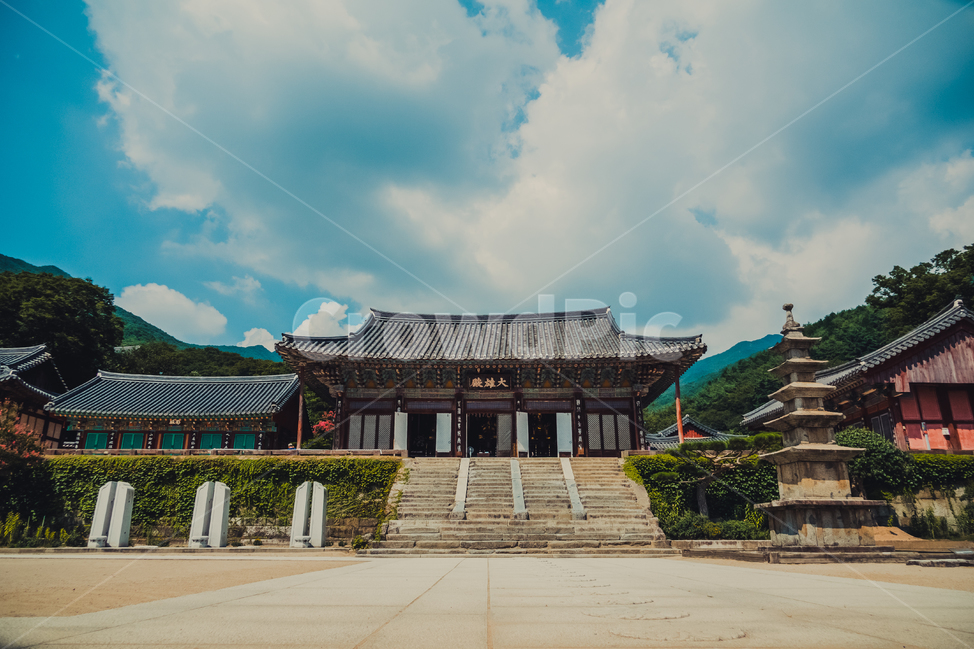 temple,architecture,건축물,건물,절,사찰,하늘,구름,sky,cloud,나무,tree,풍경,절풍경,기와,지붕,기와지붕