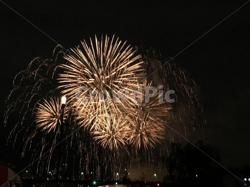 불꽃놀이,firework,밤,축제,야경,야경,밤,풍경,nightscape,night,landscape,축제,행사,festival,carnival,event,nature,자연,outdoors,옥외