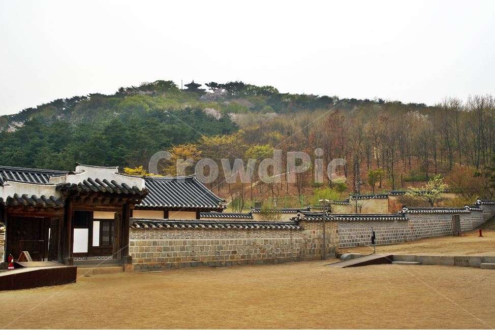 행궁,화성행궁,수원,정조,돌담,문화유산,팔달산,출입문,한국전통,한국문화,korean traditional,korean culture,랜드마크,landmark,tourist attraction,한국랜드마크,한국관광지,한국명소,korea landmark,korea tourist attraction