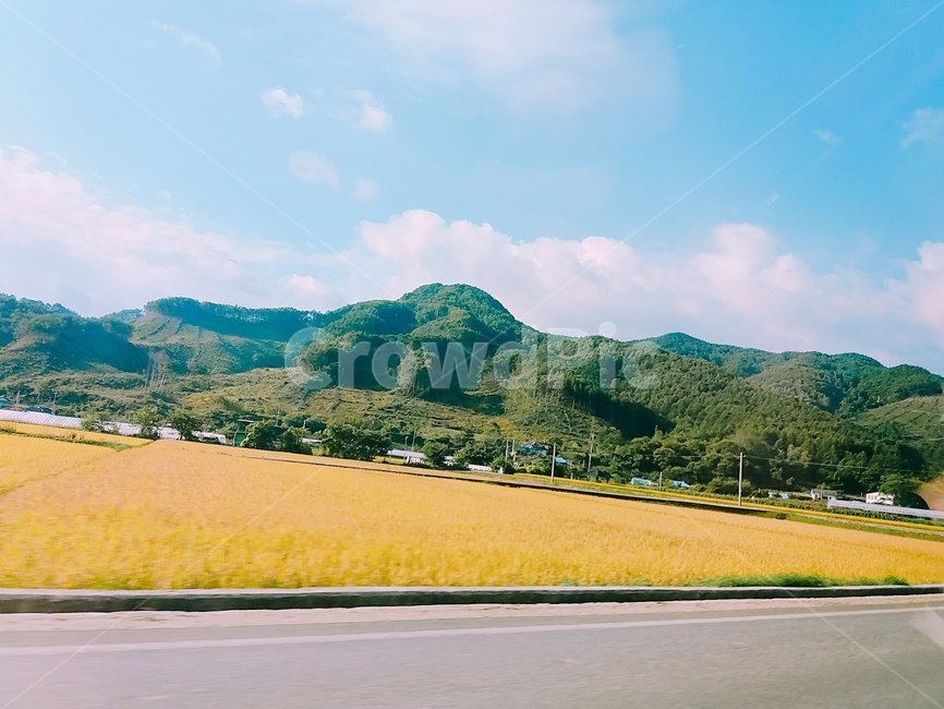 nature,자연,가을,황금들판,논,하늘,구름,산,농촌