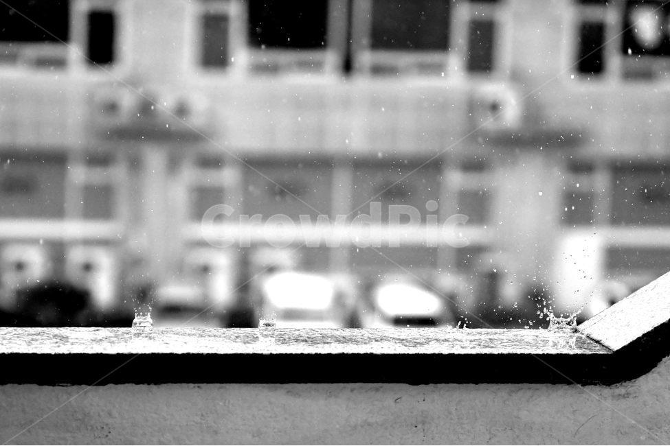비,빗방울,장마,낙수,순간포착,왕관현상,물머금,비,비오는날,rain,rainy,흑백,모노톤,monochrome,black and white