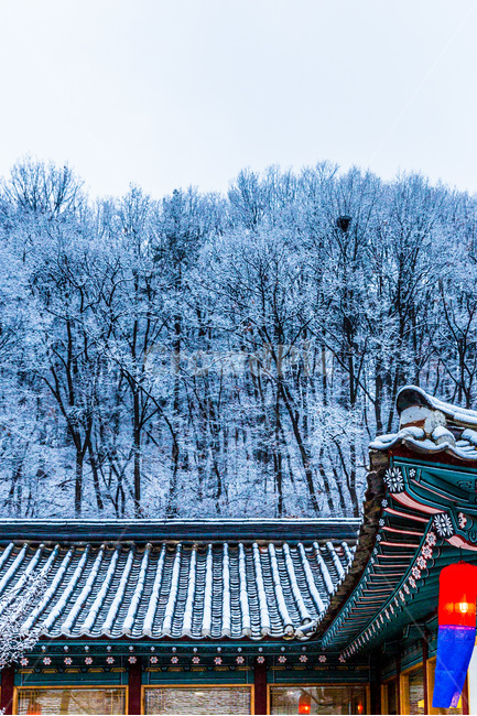 설경,청사초롱,기와,고택,문양,무늬,전통,겨울,겨울,계절,winter,season,한국전통,한국문화,korean traditional,korean culture,건축물,건물외관,exterior,building,structure,architecture,construction