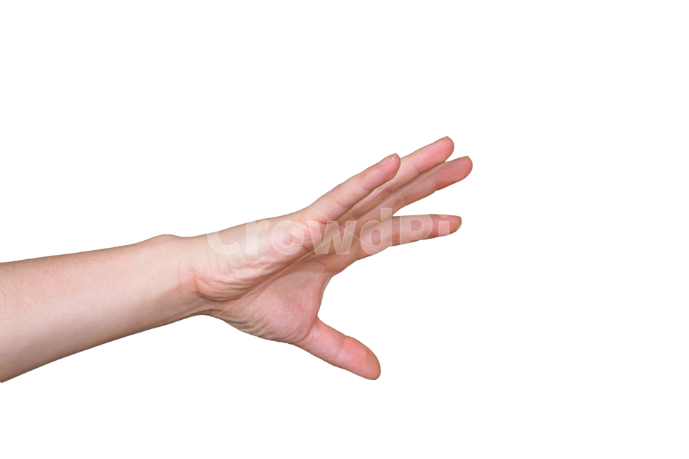 finger,expression,hand shape,sign,hand gestures,body,wrist,person,Palm,human,hand,right hand
