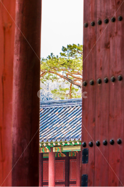 고궁,한국의미,창덕궁,기와,문화유산,문양,선대문,전통가옥,한국전통,한국문화,korean traditional,korean culture
