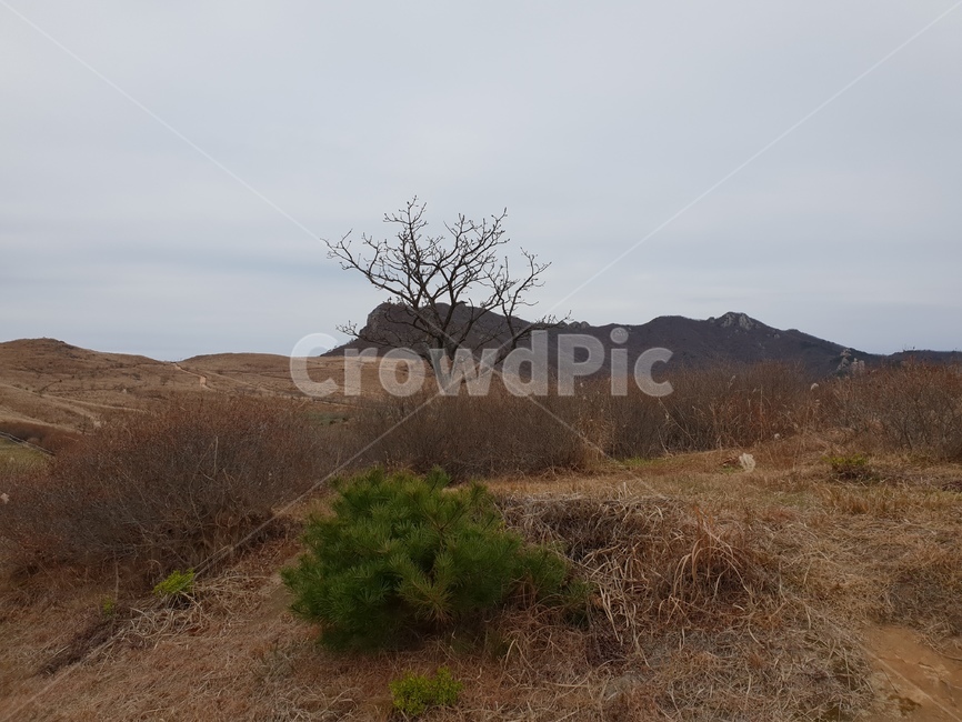 산,황매산,억새,구름,풍경,outdoors,옥외,grassland,목초지,field,들,nature,자연,ground,바닥