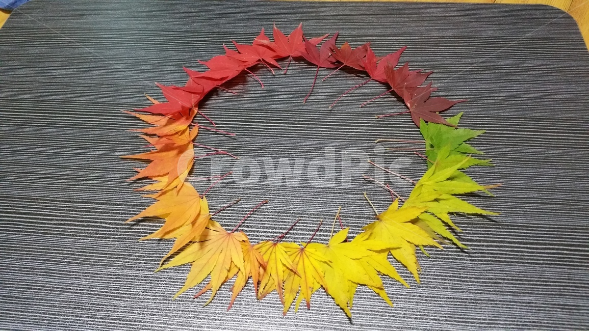 낙엽,단풍,가을,감성,leaf,원,가을,계절,fall,autumn,season,wreath,화환