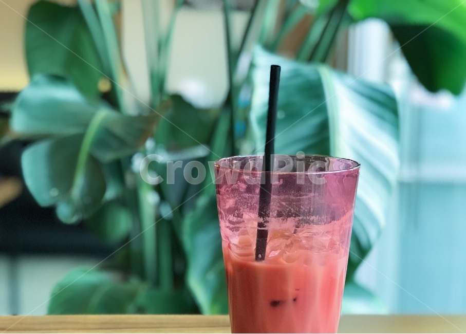 카페,커피,컵,식물,오후,음료수,drink,beverage