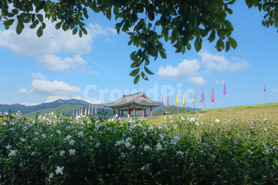 해미읍성,풍경,배경,파란하늘,자연,하늘,nature,sky,blue