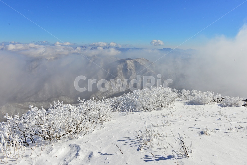 전북,무주,설천봉,상고대,상제루,mountainrange,산맥,winter,겨울,blizzard,눈보라,storm,폭풍,nature,자연,outdoors,옥외,ice,빙,snow,눈,mountain,산,향적봉,겨울,계절,winter,season,자연,풍경,nature,landscape