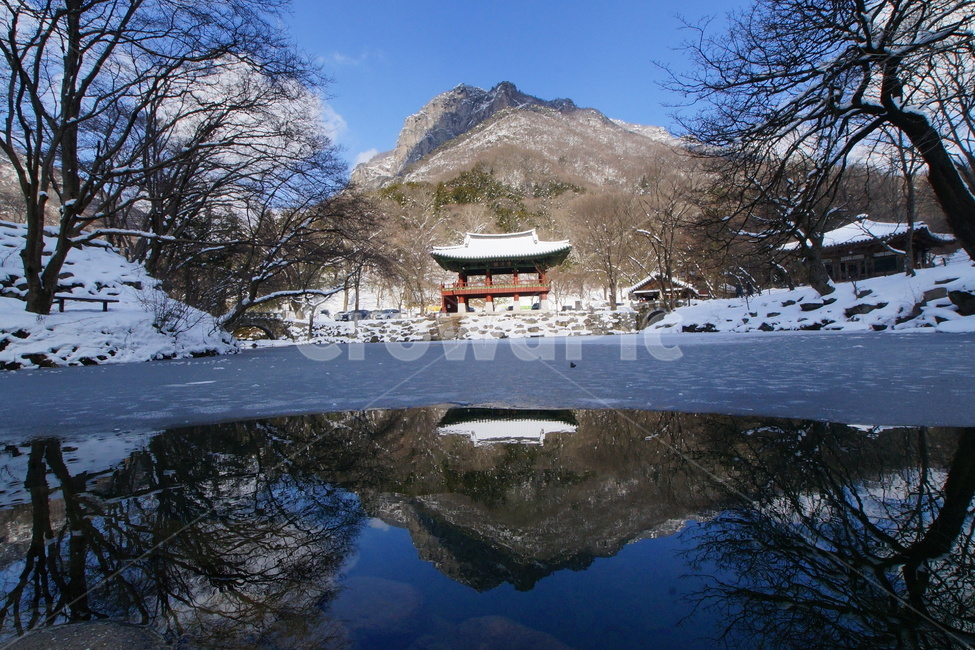 내장산,백양사,쌍계루,설경,국립공원,겨울,계절,winter,season,자연,풍경,nature,landscape,한국자연풍경,한국자연경관,korea nature landscape