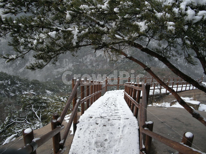 눈,겨울,등산로,불암산,나무계단,등산,나무,눈꽃,산,정상,발자국,handrail,난간,banister,railing