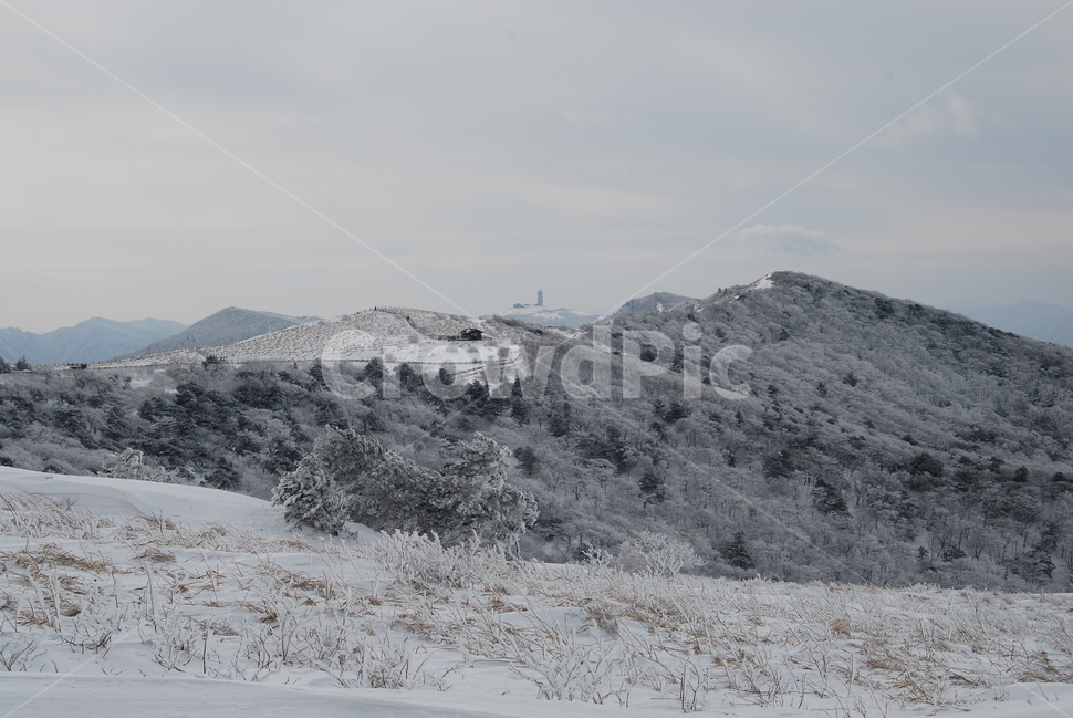 소백산,설경,한국산의아름다움,비로봉,눈꽃나무,자연의위대함,등산로,능선,아름다움,신비스런산,돌,산행,힐링,자연,감성,등산,계절,여행,한국,한국명산,한국등산,풍경,눈,나무,하늘,바람,바람소리,환경,생태계,산,땅,겨울,계절,winter,season,자연,풍경,nature,landscape,한국자연풍경,한국자연경관,korea nature landscape,slope,경사,tree,plant,식물,abies,아비,fir,전나무