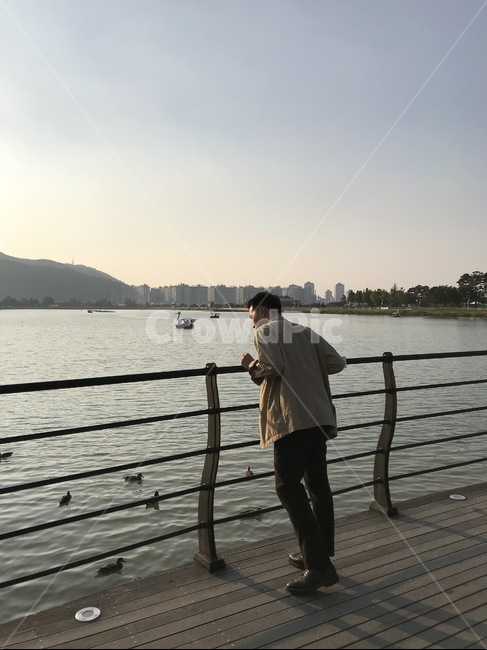 뒷모습,호수,대구수성못,남자,풍경