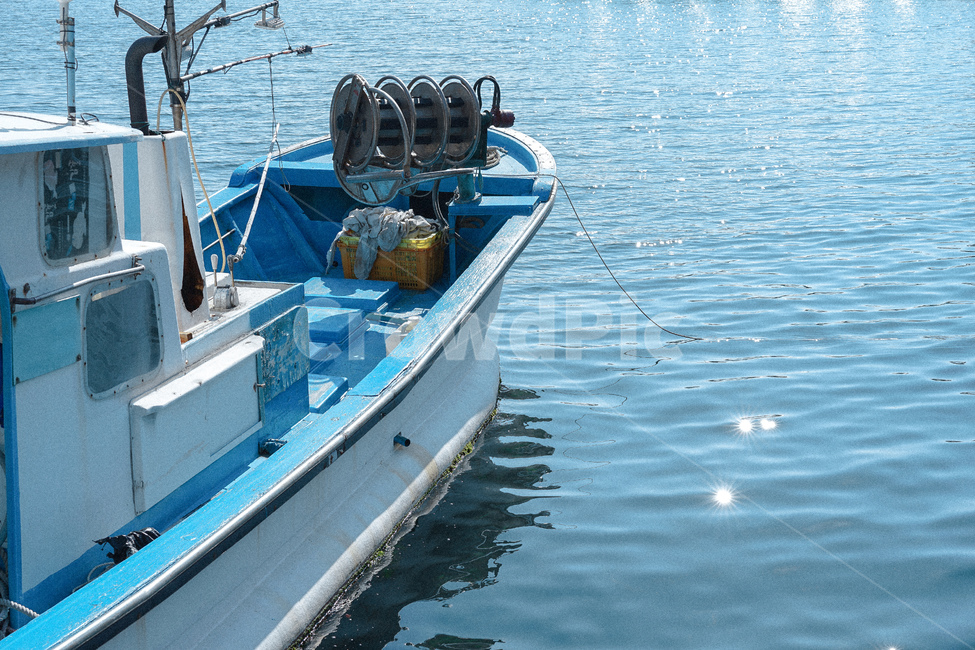 어업,어선,배,바닷가,항구,바다,바닷물,물결,물살,해안,산업,industry,industrial,어업,fishery,fishing industry