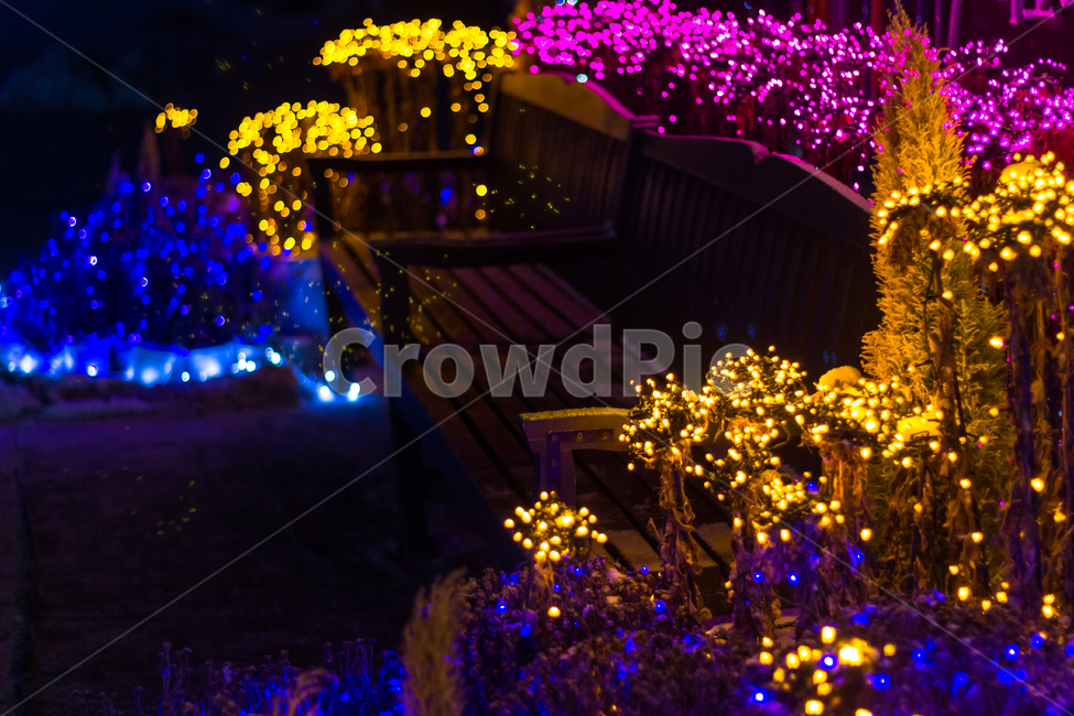 풍경,벤츠,공원,조명,야경,야경,밤,풍경,nightscape,night,landscape
