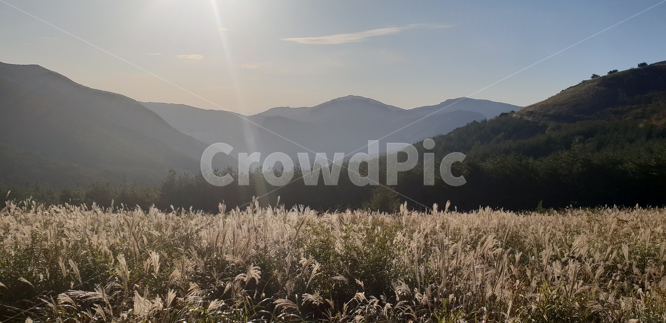 간월재,갈대,하늘,산,구름,가을,fall,cloud,sky,따뜻한,포근한,빛,영남알프스,울산