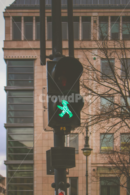 trafficlight,신호등,light,빛,초록불,베를린,암펠만,greenlight,그린라이트,교통,교통수단,traffic,transportation