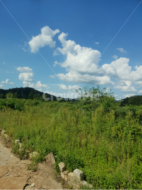 풀,초록,파란,weather,날씨,nature,자연,outdoors,옥외,cloud,구름,cumulus,적운,sky,하늘,자연,풍경,nature,landscape