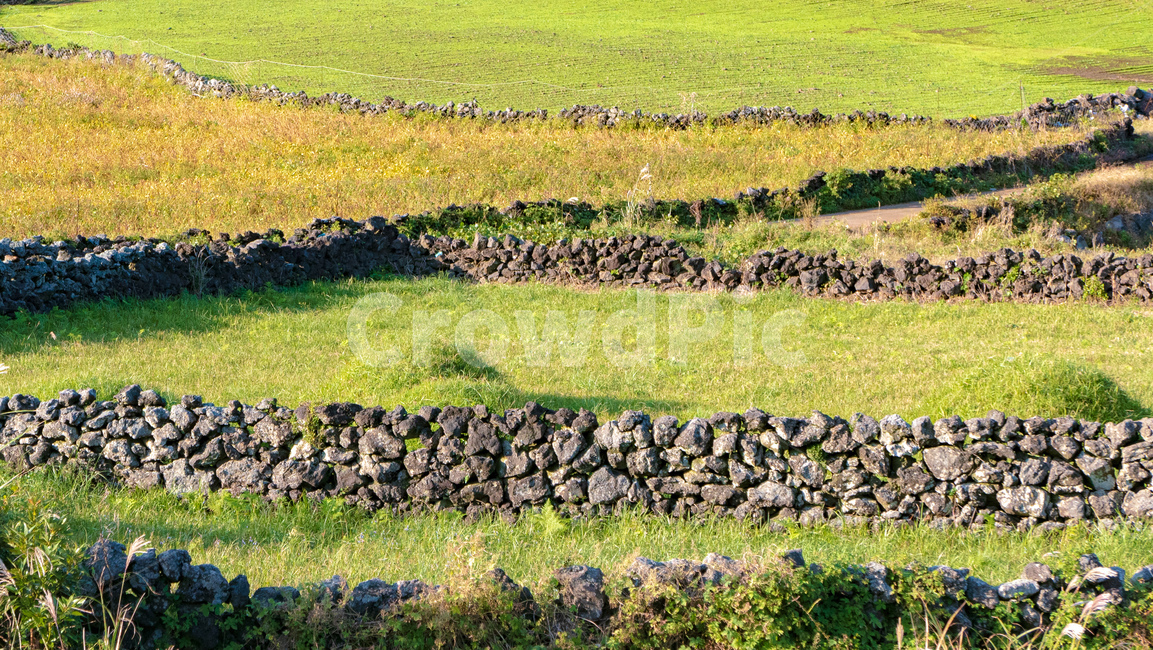 nature,자연,outdoors,옥외,field,들,목초지,grassland,countryside,한지방,용눈이,용눈이오름,오름,orum,jeju,제주,제주도,제주오름,가을제주,가을,풍경,landscape,자연,풍경,nature,landscape