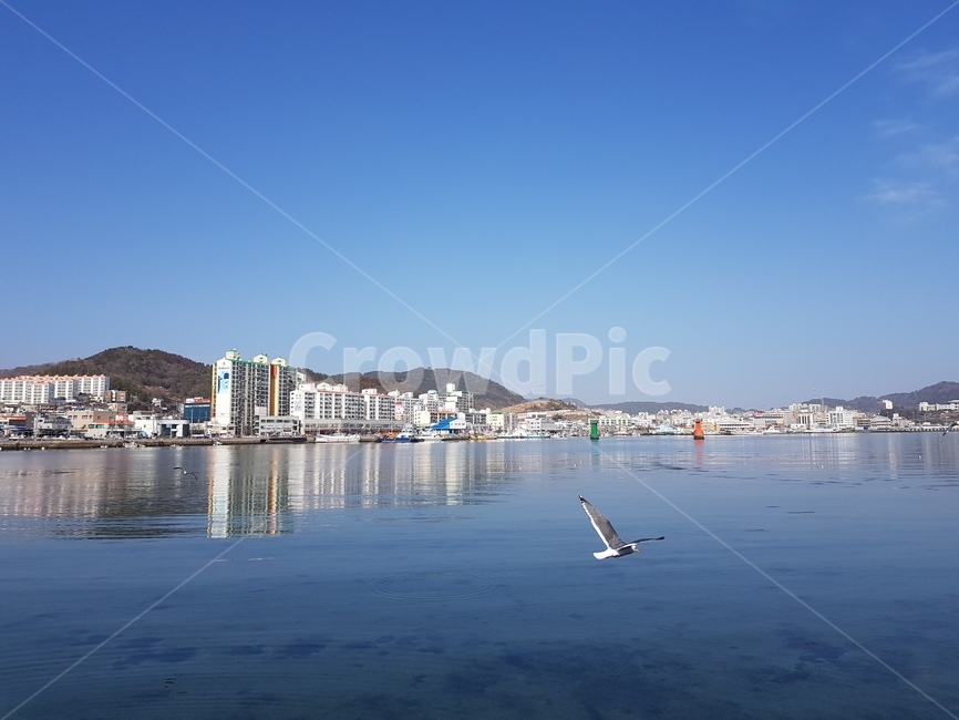 바다,통영,갈메기,항구,port,하늘,파란하늘,도시,풍경,city,landscape,waterfront,워터 프론트,water,물,pier,교각,포트