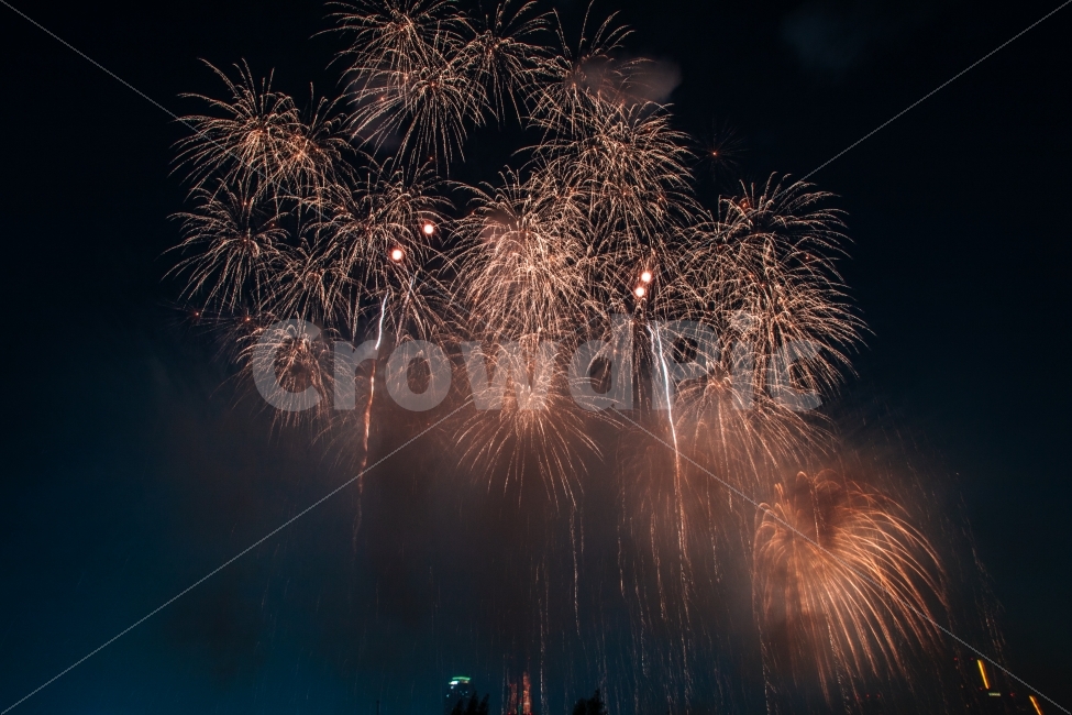 불꽃놀이,불꽃,서울,야경,밤,감성,korea,seoul,firework,야경,밤,풍경,nightscape,night,landscape,축제,행사,festival,carnival,event,nature,자연,outdoors,옥외