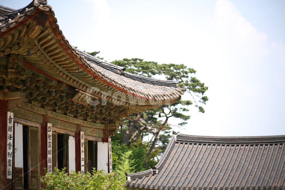 절,temple,풍경,자연,outdoor,한국전통,한국문화,korean traditional,korean culture