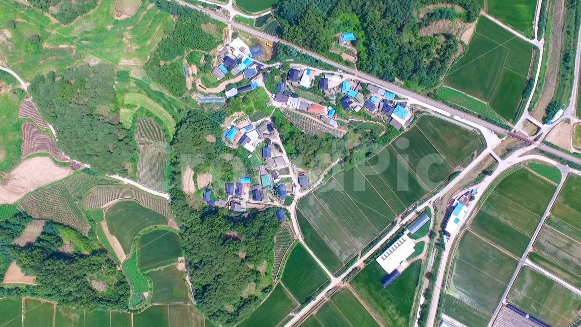 Rural,Yecheongun,aerial photography,countryside,green forest,Environmentally friendly,rural village,rural aerial photography,green rice fields,aerial map,Gyeongsangbukdo,natural scenery,field,Cooperation,collaboration,near,green tree,neighbor cousin,Tongm