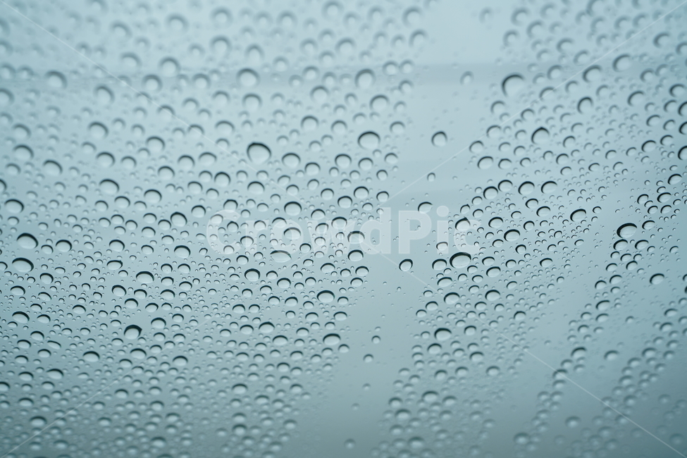 water,물,수분,물방울,방울,유리,비,rain,감성,빗물,비,비오는날,rain,rainy