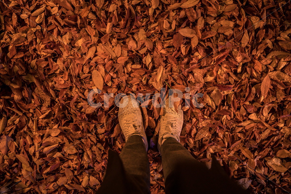 가을,단풍,조명,빛,낙엽,길거리,보케,갈색,밤,저녁,야경,길,autumn,fall,light,maple,maples,road,night,street,가을,계절,fall,autumn,season,사람,인물,인간,human,person,신체일부,몸,body,고독함,외로움,쓸쓸함,우울함,슬픔,lonely,solitary