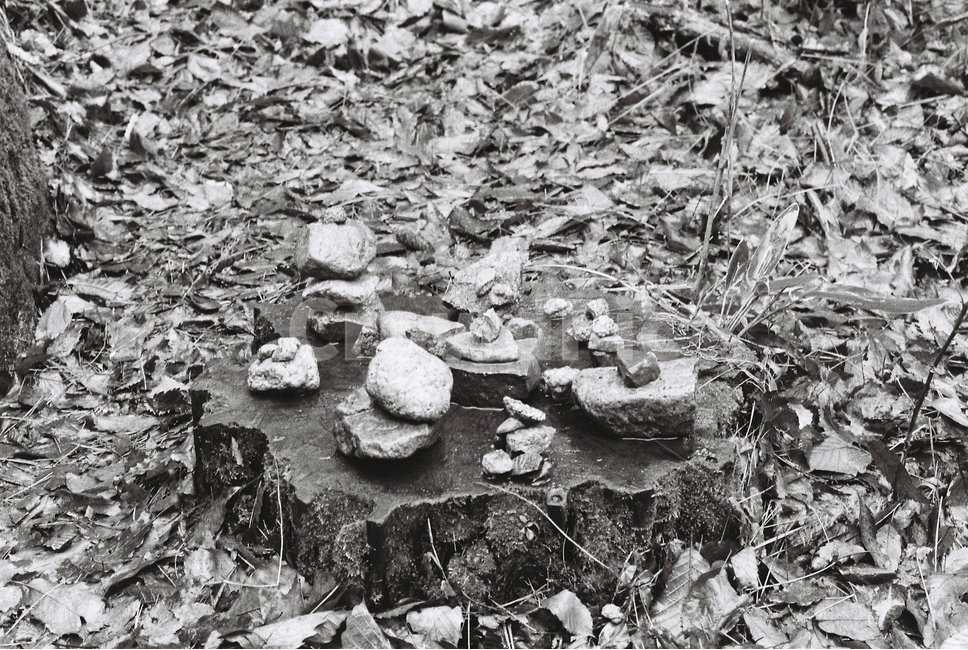 자연,돌돌탑,기도,흑백,산,산책길,자연,풍경,nature,landscape,흑백,모노톤,monochrome,black and white,ground,바닥,rubble,파편