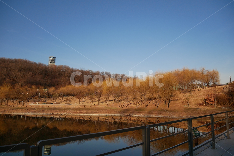 아침,풍경,북서울꿈의숲,길,산책,자연,풍경,nature,landscape,railing,난간,handrail,banister