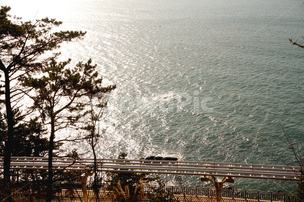 햇빛,바다,레일바이크,빛바다,햇살,저녁