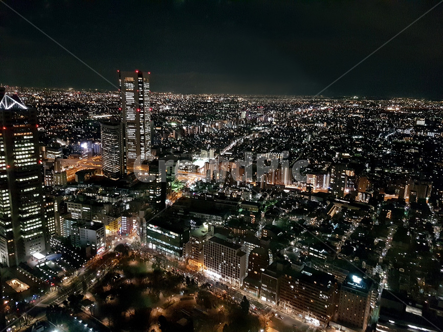 야경,도쿄,도시,일본,빛,야경,밤,풍경,nightscape,night,landscape,도시,city,해외,외국,세계,foreign,oversea,world,세계도시풍경,해외도시풍경,외국도시풍경,world cityscape,outdoors,옥외,경치,nature,자연,scenery,aerial view,조감도
