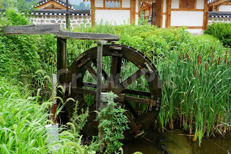 강아지풀,한옥,나무,자연,풍경,물레방아,풀,잎사귀,한국,물,갈대밭,식물,한국전통,한국문화,korean traditional,korean culture